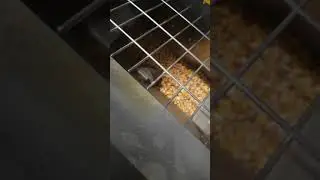 CORN POWERED STOVE