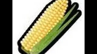 How to Use a Hand Crank Corn Sheller
