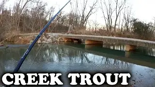 Trout fishing in a New Creek! Finding New Fishing Spots for Trout