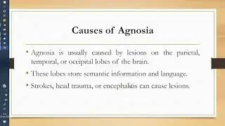 Agnosia