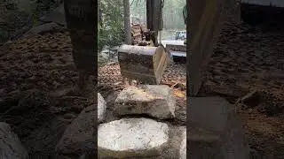 Building rock steps and and pathway #tree #diy #homestead