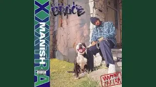 Funk Mobb Niggaz