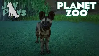 African Wild Dog Escape?? | Planet Zoo