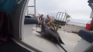 Maranatha big game fishing mauritius.