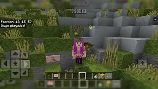 Introduction video
