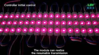 Vibrant RGBW LED Module | Pixel Control for Light Boxes/Signs from LBY