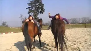 HAPPY (HORSES)- PHARRELL WILLIAMS (We're from Czech Republic)