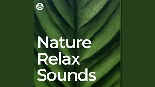 Relax with Nature Sounds -No Fade, Loopable