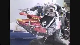 Spooky Scary Animatronics & Endoskeletons