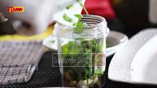 Sabor a Timor - 