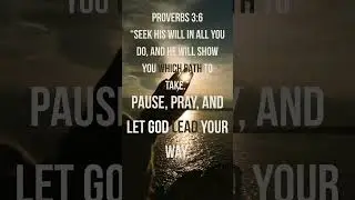 Let God Lead Your Path | Daily Bible Reflection &ndash;Proverbs 3:6#christianfaith #shorts #trustgod🙏🏼🌞