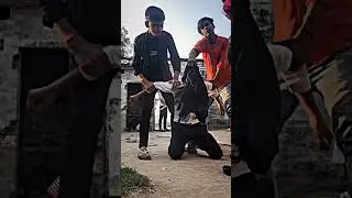 Best Action Scene Short Video Gola Ke Ladle #shorts #shortvideo #action #viral #subscribe #ladla