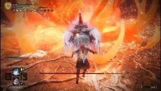 Arcane sorcerer puts Malenia to sleep (no hit, solo) feat aspect of crucible horns