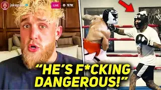 Jake Paul FREAKS OUT As Gervonta Davis Goes to WAR With Heavyweight Sparring Partner!