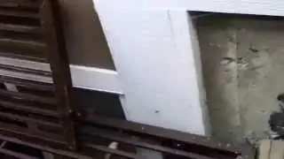 RAT ENTRY POINT AND EXCLUSION