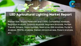 LED Agricultural Lighting Market Report 2024 | Forecast, Market Size, Growth, Trends