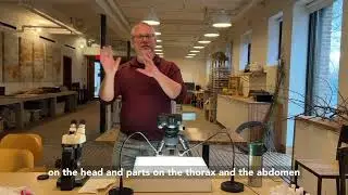 Insect Barcoding with Ecology