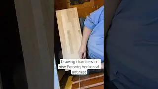 Designing chambers and corridors for ants - new Foranto ant nest #foranto #ants #antkeeping &ldquo;