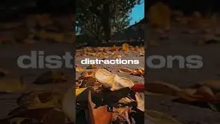 Do not be distracted! #motivation #mindset #distraction #goalsetting #goals #success #inspirational
