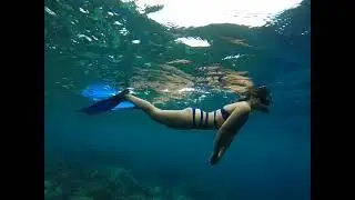 MERMAID GOALS