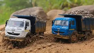 Customised Centy Toys Tata Trucks | Tata Signa | Tipper Trucks | Truck Videos | Auto Legends