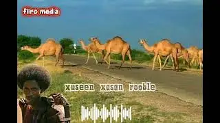 Abwaan xuseen xasan (( tixdii suugaanta maansada ))