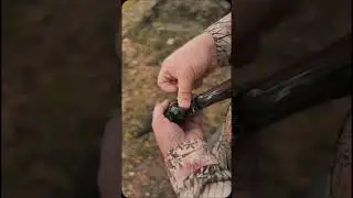 Ruger Super Blackhawk .44 Magnum