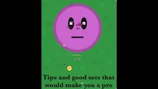 Tips and sets in Florr.io that would make you a pro