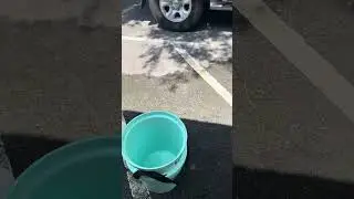 2400 gpd ro system flow rate  test