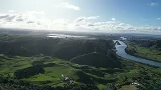 Hakarimata   Kauri Loop Track   4K