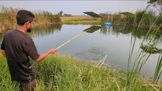 Catching The Fishes In Village Former Pond