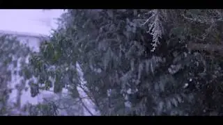 snowmotion