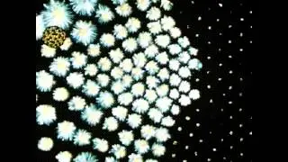 Nuclear chain reaction explained in 60 seconds