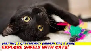 Creating a Cat-Friendly Garden: Tips & Ideas  PART 3