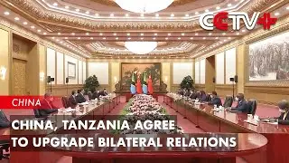 China, Tanzania Agree to Upgrade Bilateral Relations