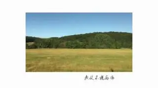 秋慧 【风向以北】 Official Music Video