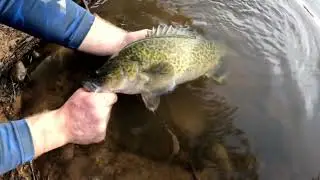 Riversymposium   MC Clip 2