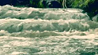Natural stream of flowing water, Nature ambience sounds effect, Nature ASMR
