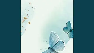 Long Wings