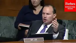 Mike Lee Accuses Twitter Of 'Turning A Blind Eye' To 'Significant Security Risks'