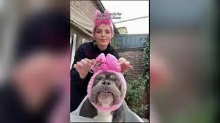 Beloved Dog Influencer Raffie Dies Suddenly on Christmas Eve.