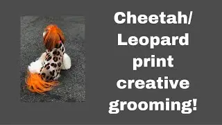 Cheetah/ Leopard Print Creative Grooming- Time Lapse