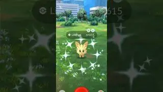 Shiny Lillipup✨️✨️