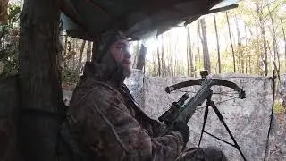 Crossbow DOE Harvest 2023