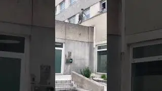 Poor lad 🤣 #parkour #wallruns #parkouring #parkour4life
