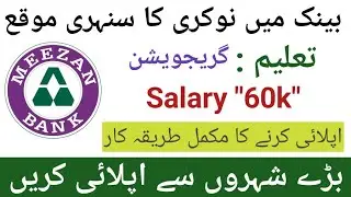Meezan Bank Latest Jobs 2025 | ACCA Trainee Program | Relationship Manager | Call Center Officer