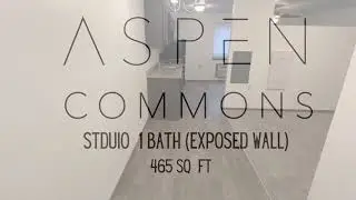 Aspen Commons   -  Studio  1 Bath (Exposed Wall)  -  465 sq feet