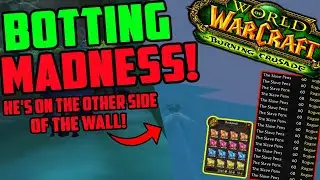 The Bot Problem Is Getting WORSE & Bots Are Ruining The Economy in TBC Classic...