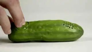 Yodelling Pickle - Vidler's TV