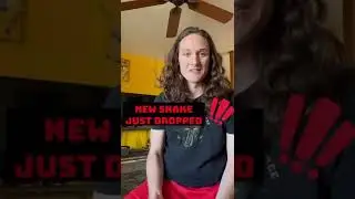 NEW SNAKE DISCOVERED!! 🐍 | Herpin Hippie #shorts